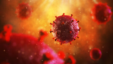3D illustration of the HIV virus